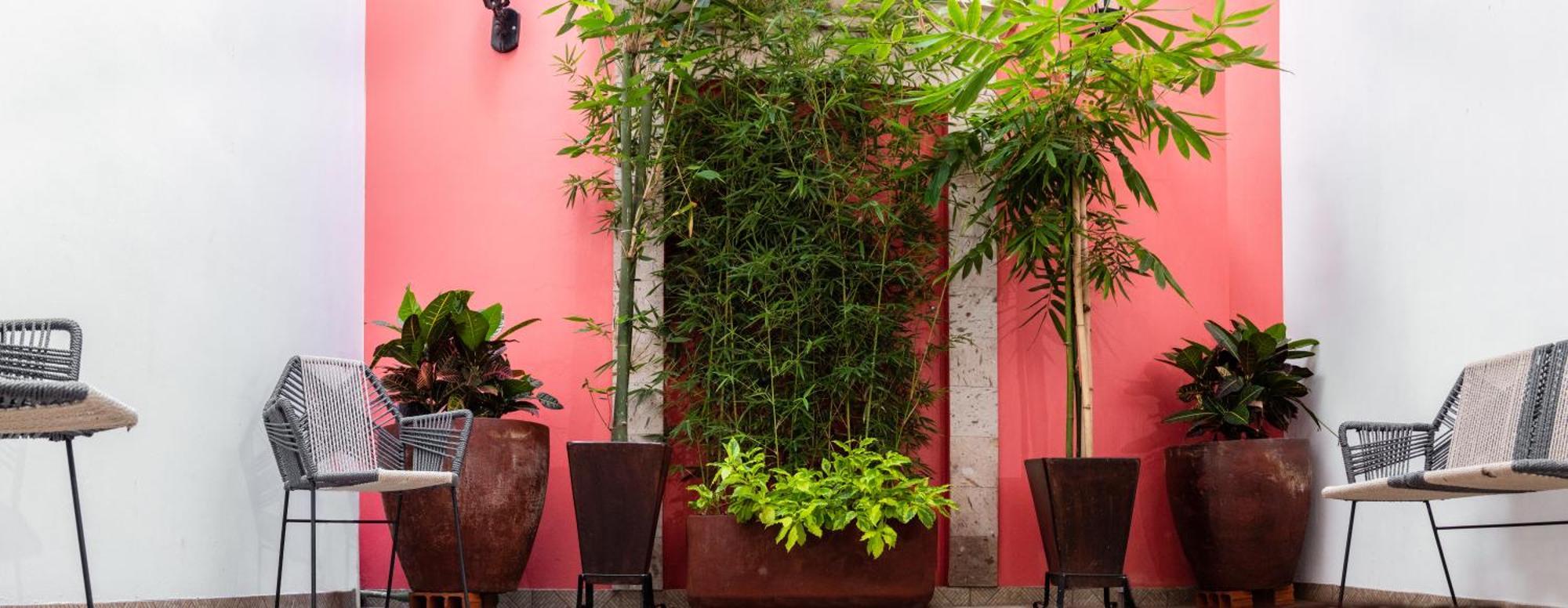 Nueve Agaves Hotel Текила Экстерьер фото